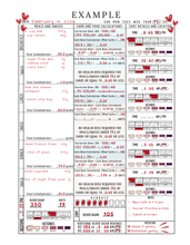 Load image into Gallery viewer, Starter Insulin Journal: Three Months - Undated
